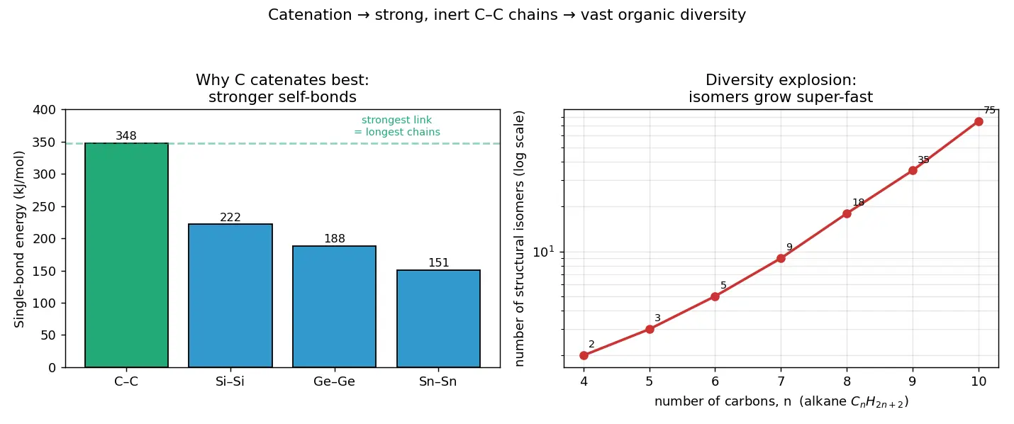 Figure — Catenation and the diversity of organic molecules