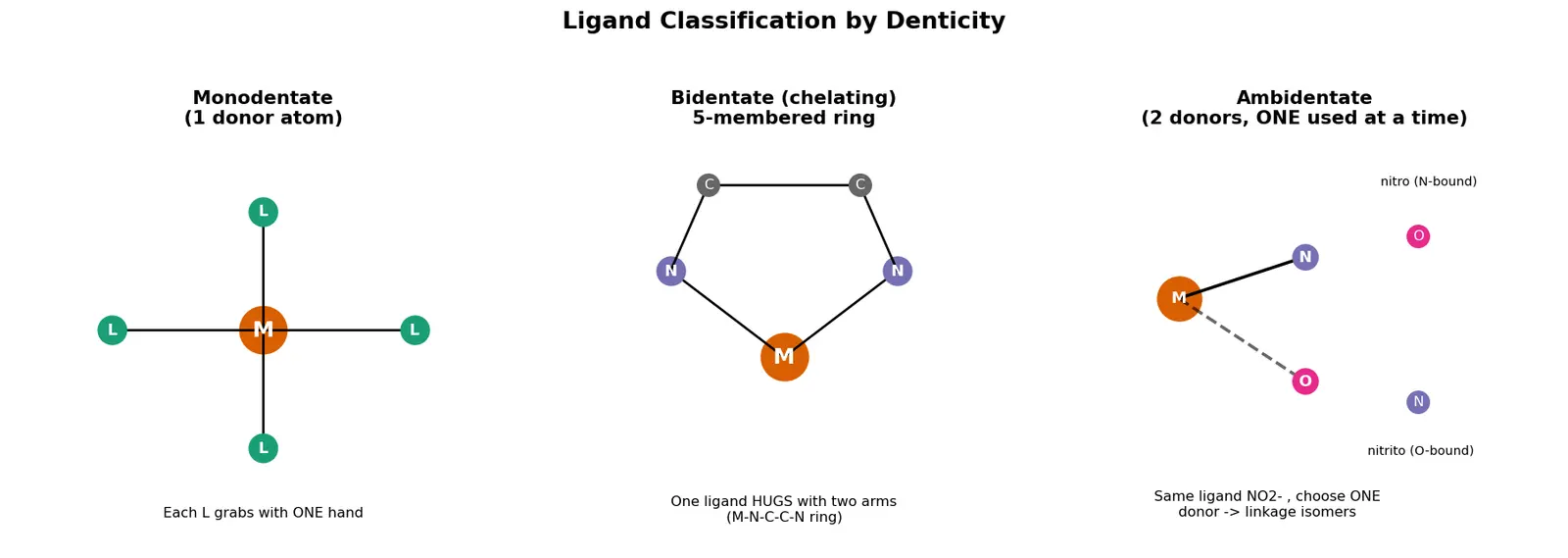 Figure — Ligands — classification (mono, bi, poly, ambidentate, chelating); denticity