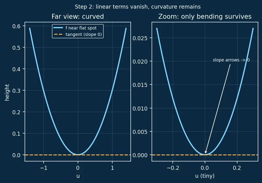 Figure — Second derivative test — Hessian determinant