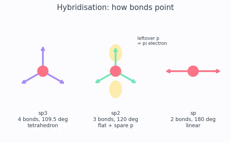 Figure — Group 14 (Carbon family) — allotropes of C (diamond, graphite, fullerenes, graphene, CNTs)