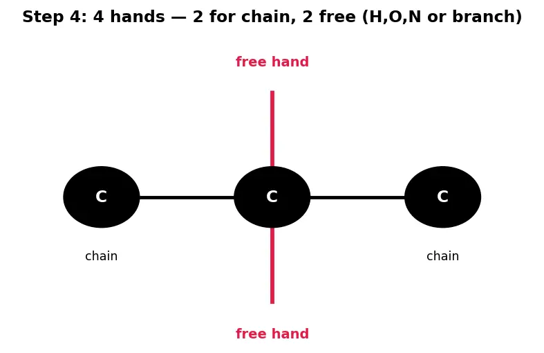 Figure — Catenation and the diversity of organic molecules