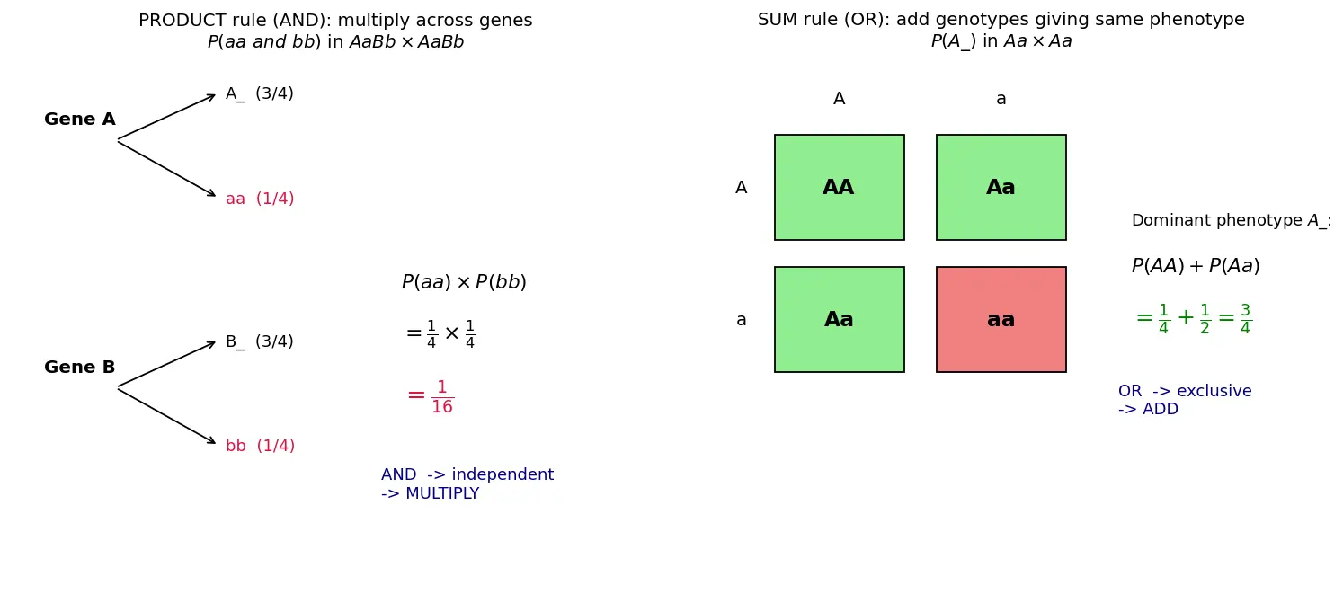 Figure — Apply the product and sum rules