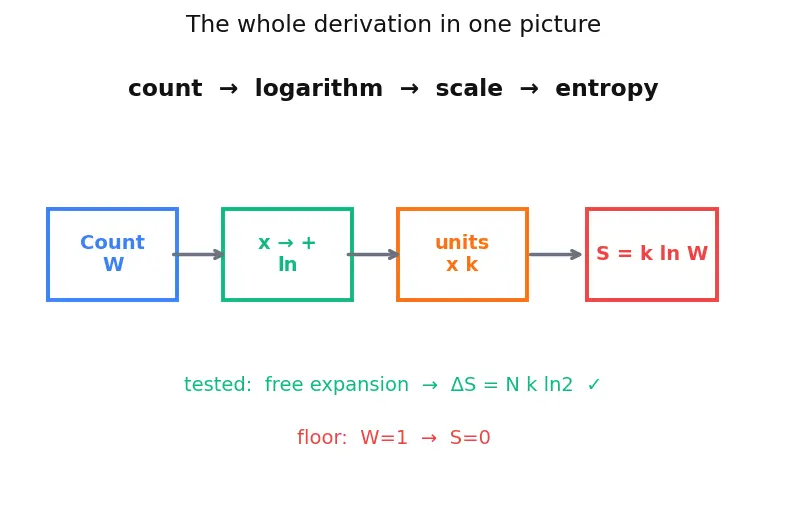 Figure — Entropy and disorder — Boltzmann S = k·ln(W)