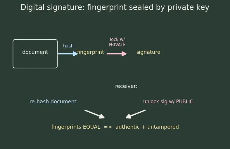 Figure — HTTPS — TLS handshake, certificates, CA