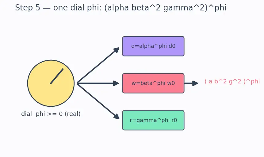 Figure — DenseNet and EfficientNet