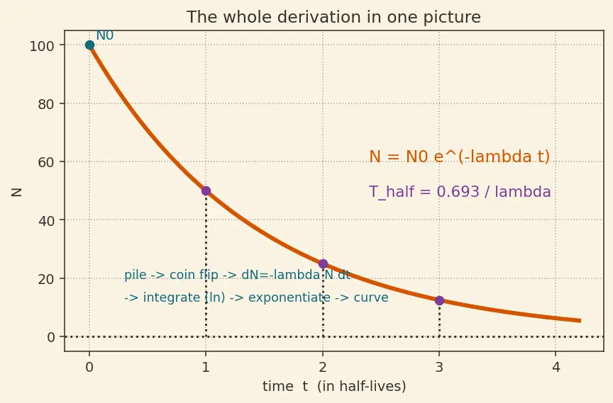 Figure — Decay law — N = N₀ e^(−λt), half-life, activity