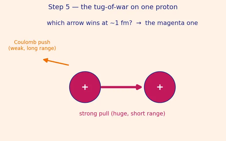 Figure — Nuclear structure — protons, neutrons, nuclear forces