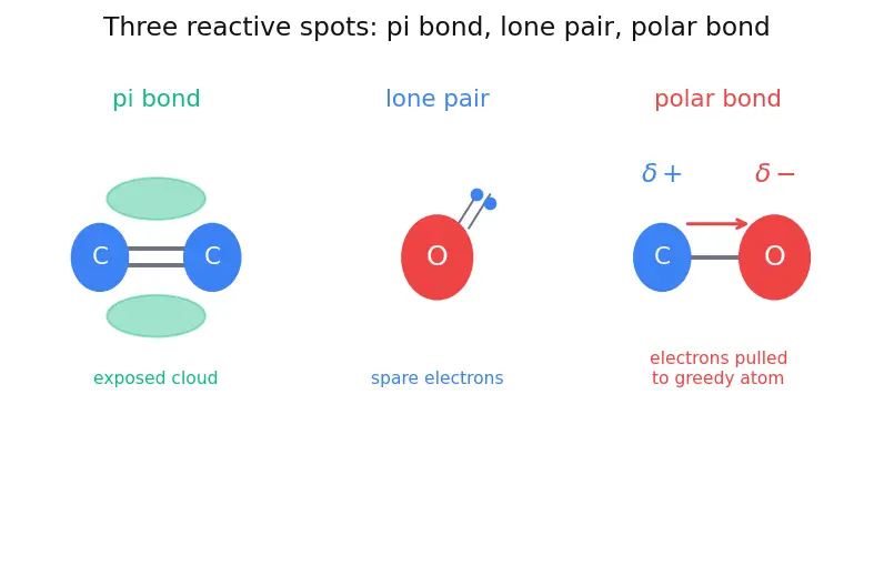 Figure — Functional groups and homologous series