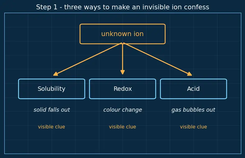 Figure — Common anions — Cl⁻, Br⁻, I⁻, SO₄²⁻, NO₃⁻, CO₃²⁻ — confirmatory tests