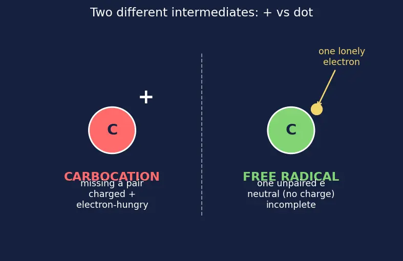 Figure — Markovnikov vs anti-Markovnikov (peroxide effect, Kharasch)