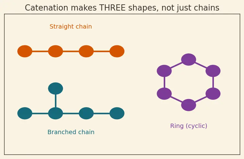Figure — Catenation and the diversity of organic molecules