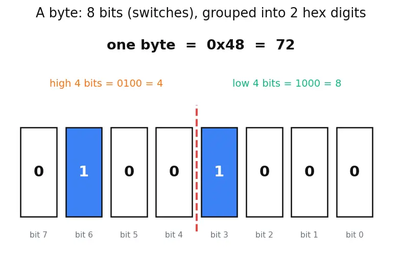 Figure — Disassembly — objdump, reading assembly