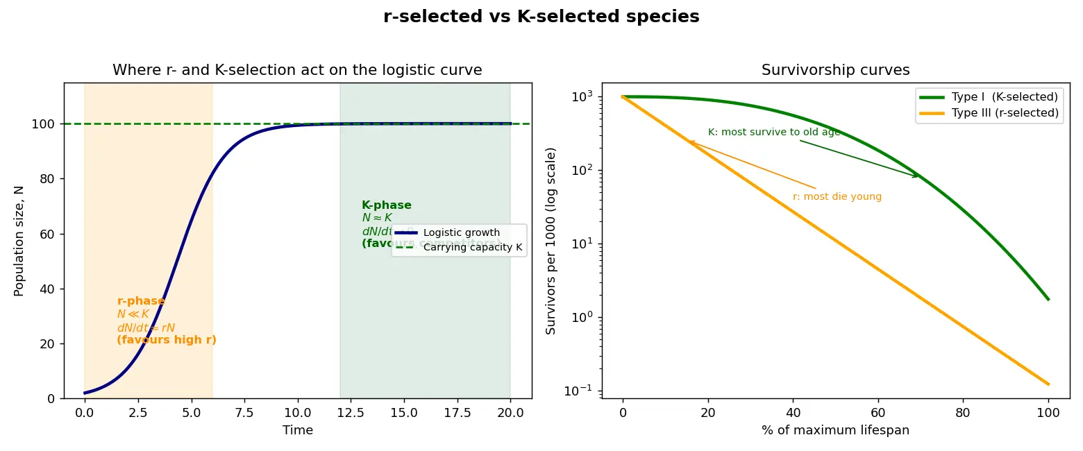Figure — Compare r-selected and K-selected species