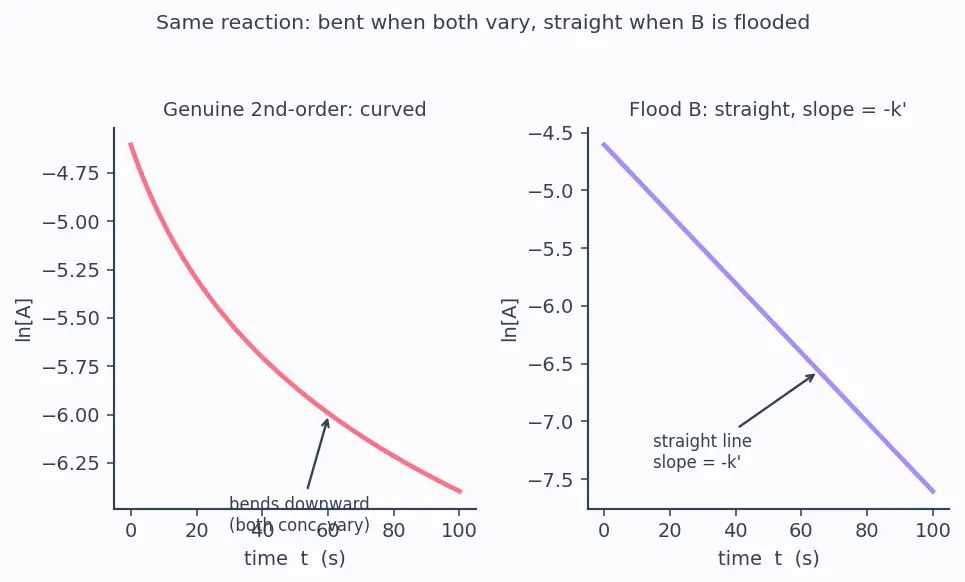 Figure — Pseudo-first-order kinetics