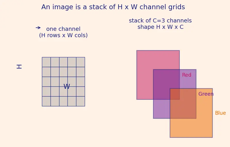 Figure — DenseNet and EfficientNet