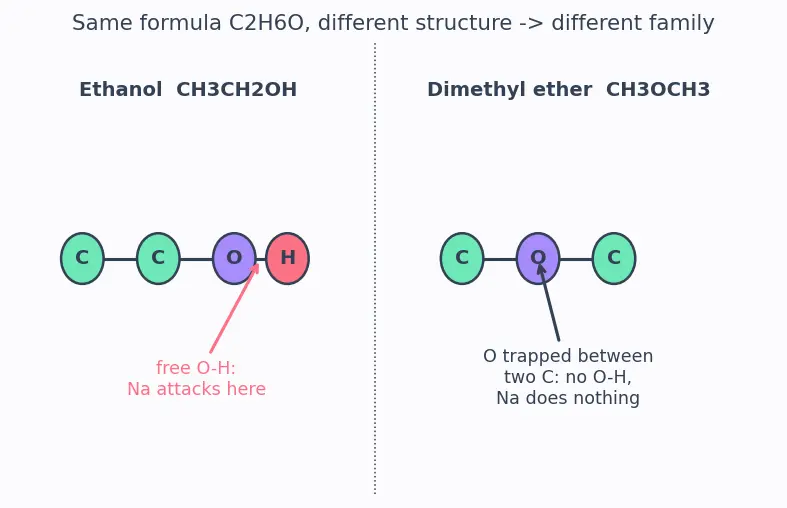 Figure — Functional groups and homologous series