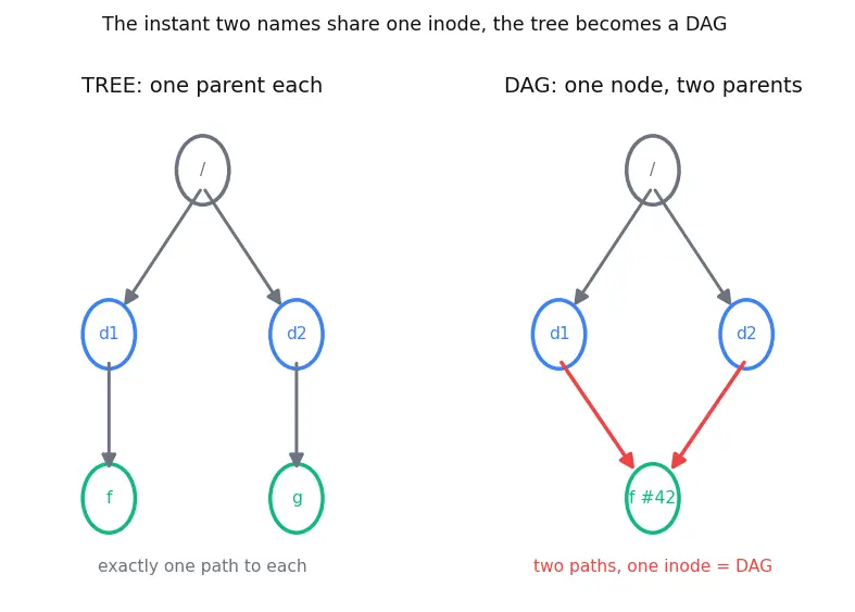 Figure — Directory structure — tree, DAG (hard links, symbolic links)