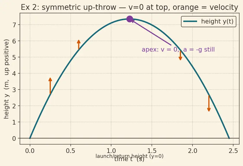 Figure — Free fall — g = 9.8 m - s², sign conventions