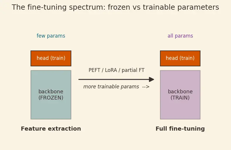 Figure — Full fine-tuning vs feature extraction