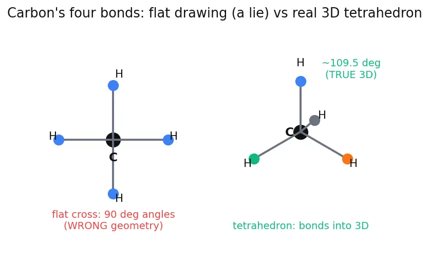 Figure — Carbohydrates — classification (mono - di - polysaccharides), Fischer - Haworth projections, mutarotation, glycosidic bo