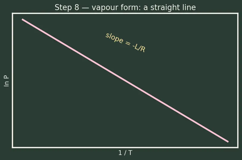 Figure — Phase equilibrium — Clausius-Clapeyron equation