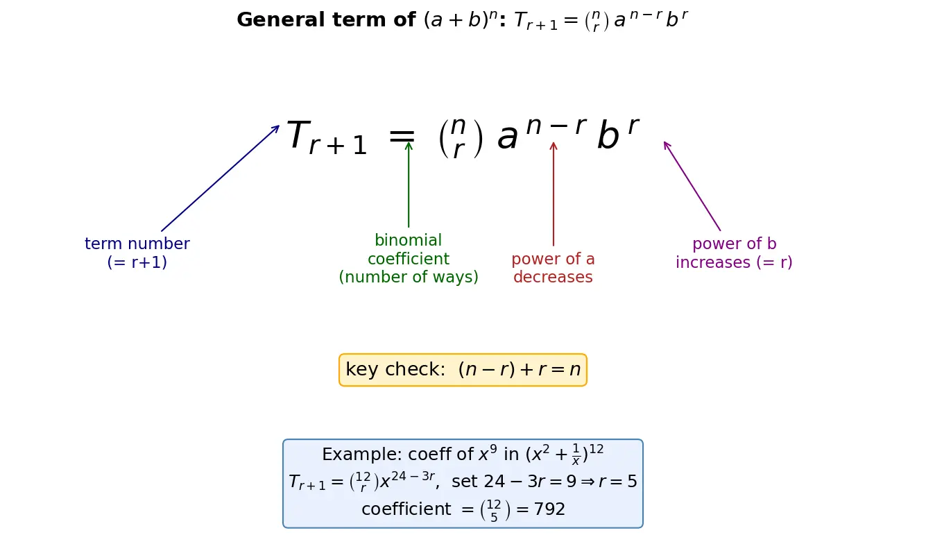 Figure — General term of binomial expansion — finding specific terms