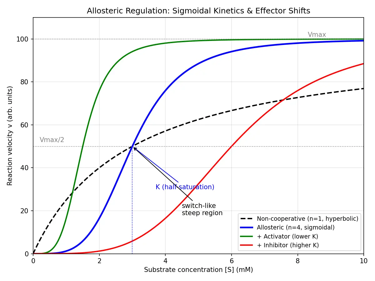 Figure — Explain allosteric regulation