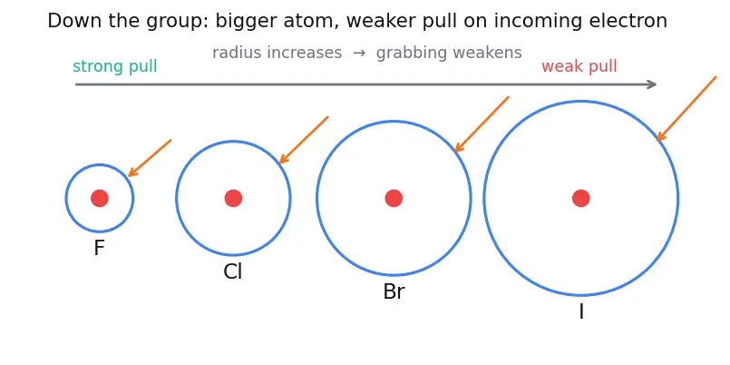 Figure — Group 17 (Halogens) — properties, oxidizing power; HX strengths; interhalogens; pseudohalogens
