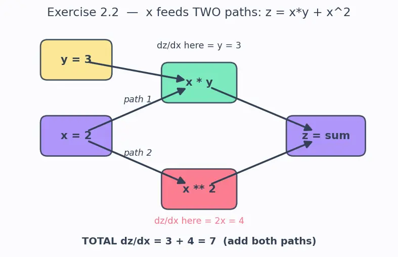 Figure — Autograd and computational graphs in PyTorch