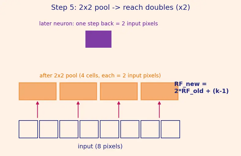 Figure — CNN architecture design