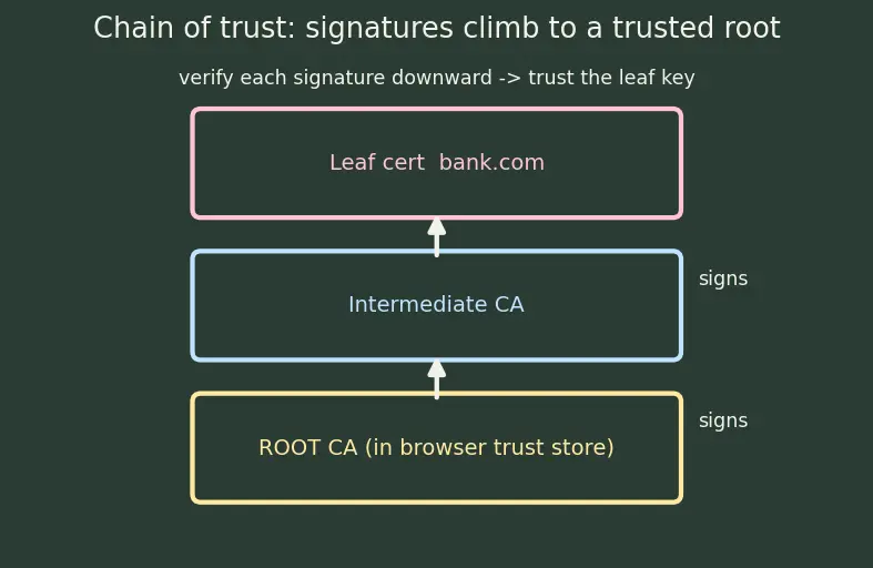 Figure — HTTPS — TLS handshake, certificates, CA