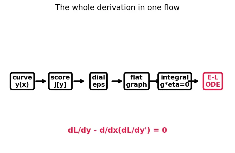 Figure — Euler-Lagrange equation — derivation