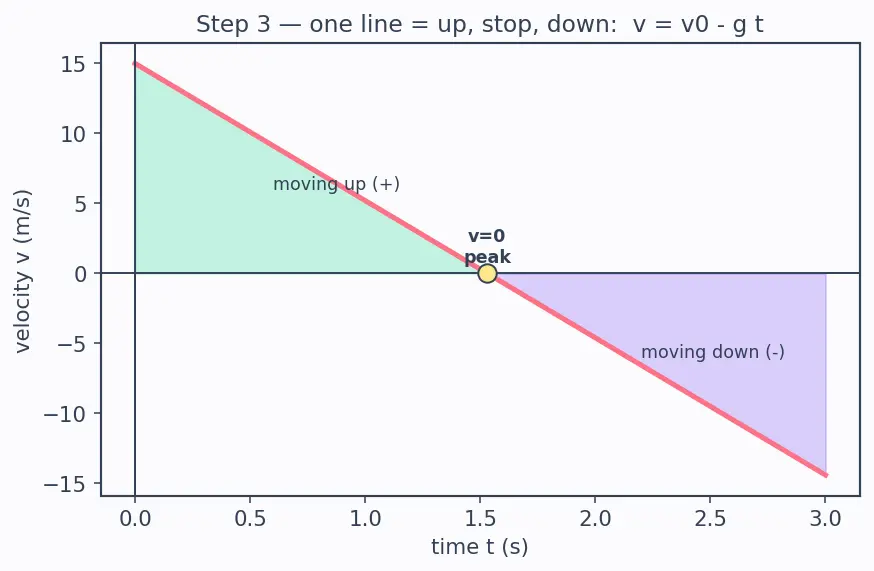 Figure — Free fall — g = 9.8 m - s², sign conventions