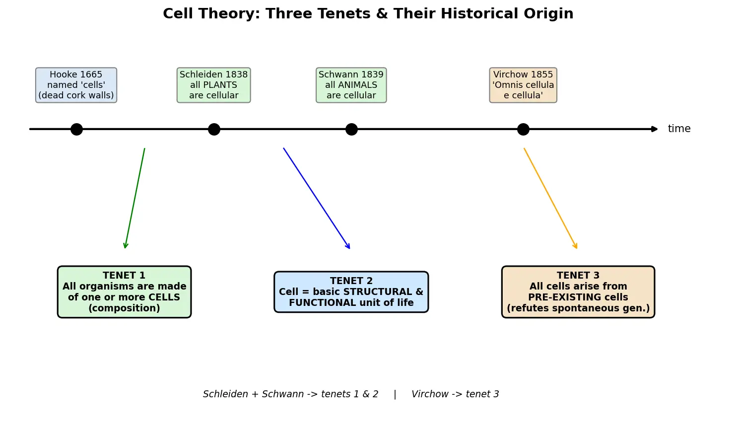 Figure — State the three tenets of cell theory