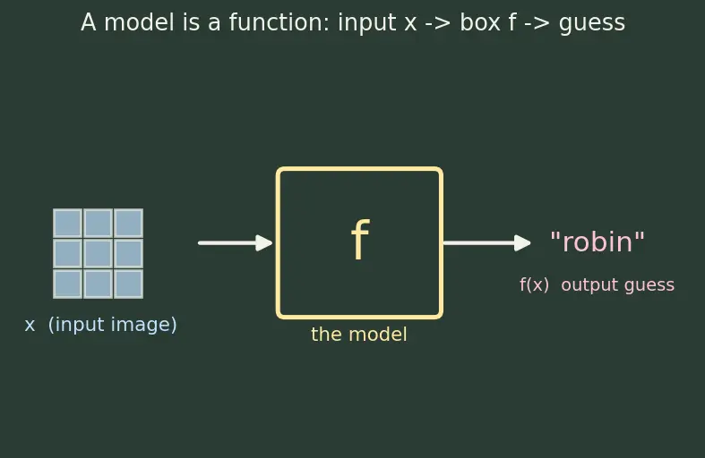 Figure — Transfer learning and fine-tuning
