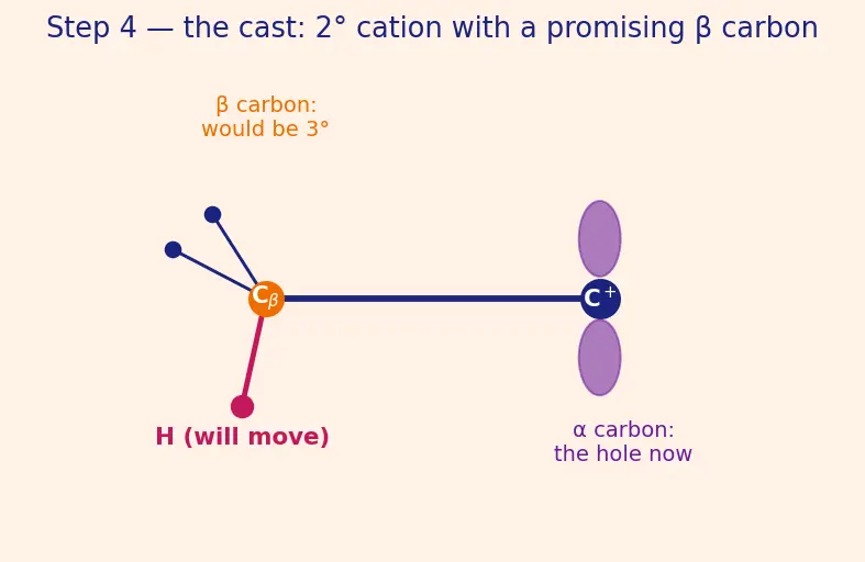 Figure — Reactive intermediates — carbocations (stability), carbanions, free radicals, carbenes, nitrenes; rearrangements (hydrid