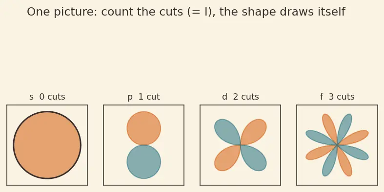 Figure — Orbital shapes — s (spherical), p (dumbbell), d (cloverleaf), f