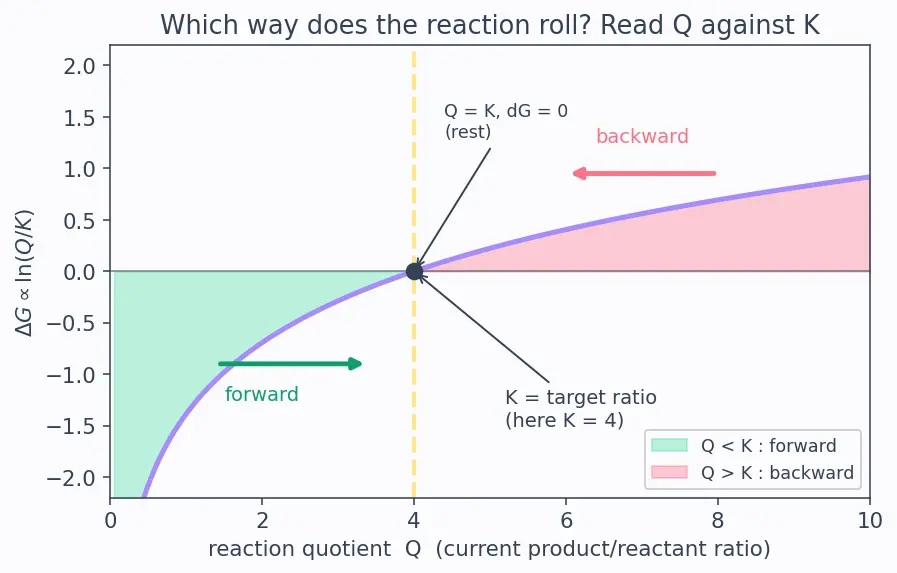 Figure — Reaction quotient Q vs K — direction of shift