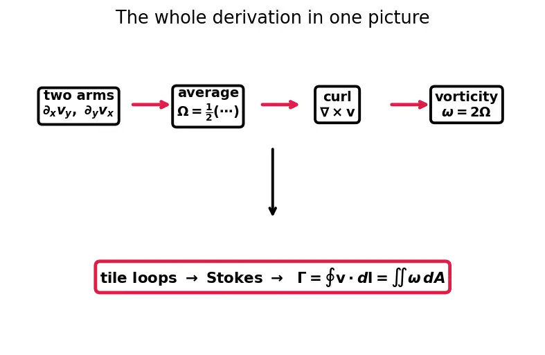 Figure — Vorticity — ω = ∇ × v, circulation Γ