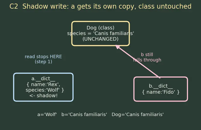 Figure — Instance attributes vs class attributes