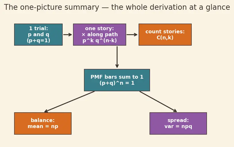 Figure — Binomial distribution — PMF, mean, variance