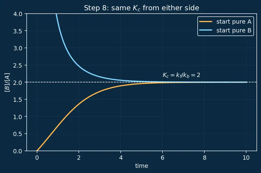 Figure — Reversible reactions and dynamic equilibrium