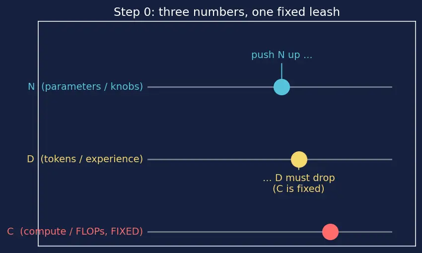Figure — Neural scaling laws (Chinchilla, compute-optimal)