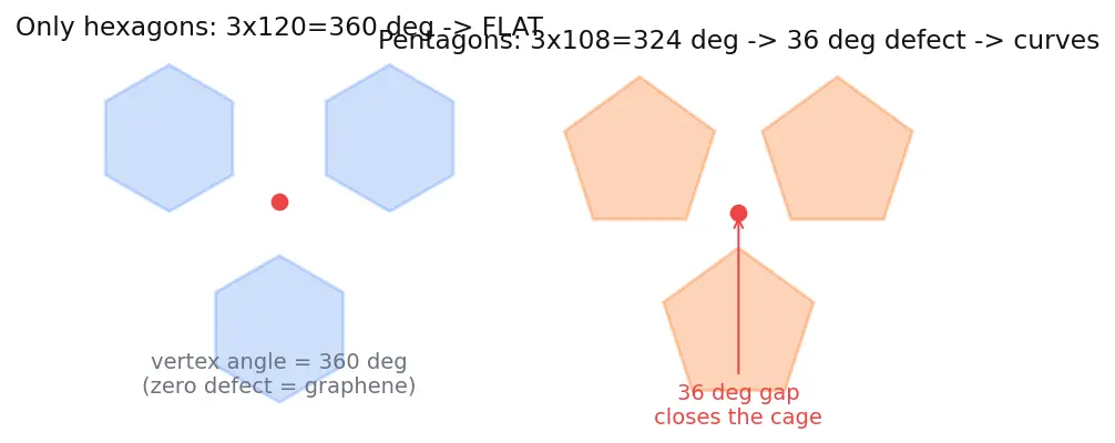 Figure — Group 14 (Carbon family) — allotropes of C (diamond, graphite, fullerenes, graphene, CNTs)