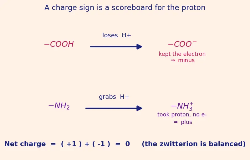 Figure — Amino acids — zwitterion, isoelectric point pI, classification (essential, non-essential)