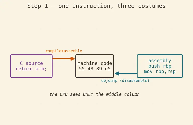 Figure — Disassembly — objdump, reading assembly
