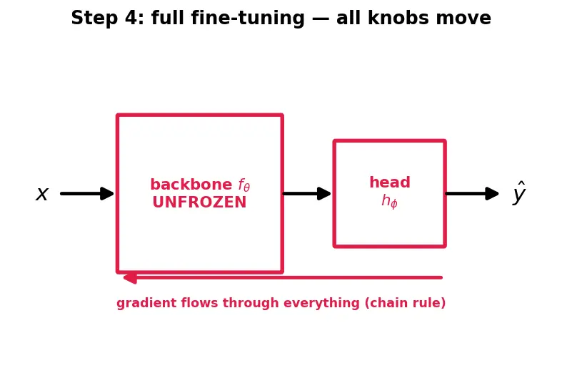 Figure — Full fine-tuning vs feature extraction