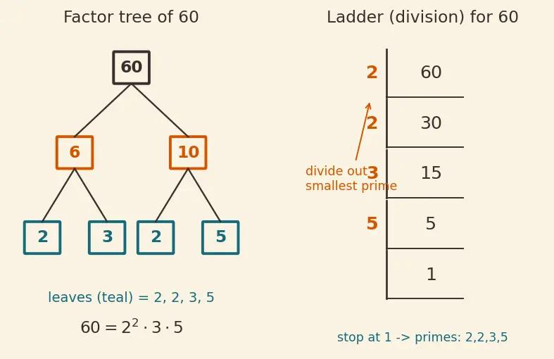 Figure — Prime factorization — factor trees, ladder method