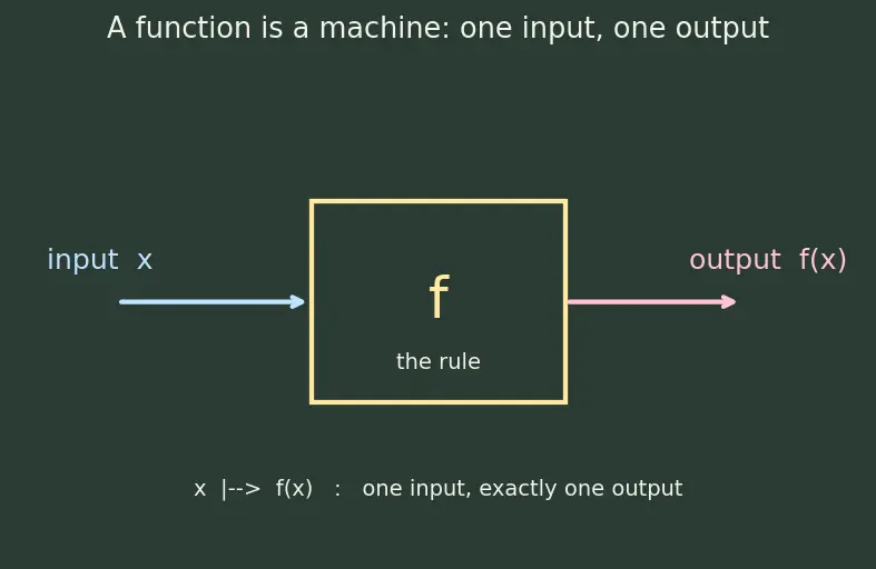 Figure — Types — constant, linear, quadratic, polynomial, rational, radical, piecewise