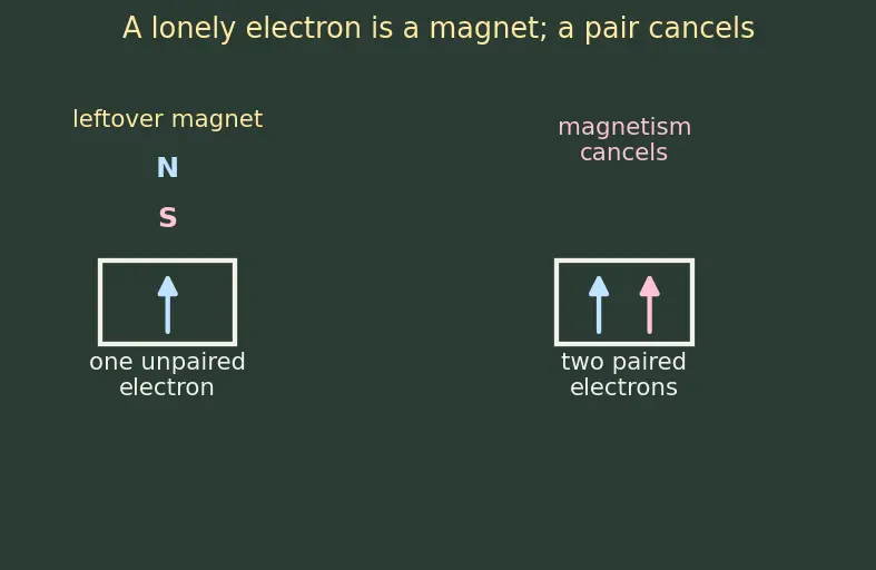 Figure — Magnetic moments of complexes